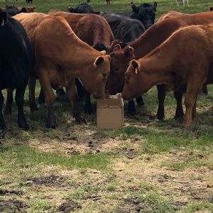 Meet your Posher, Scott